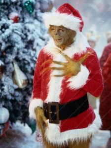 Grinch Christmas Costume