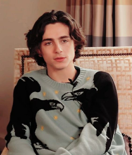 Timothée Chalamet Crow Blue And Black Sweater. Timothée Chalamet Crow Blue And Black Sweater.